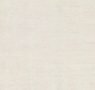 Emiliana Parati Luce 72830 для кухни для коридора для кабинета для загородного дома для комнаты для прихожей белый
