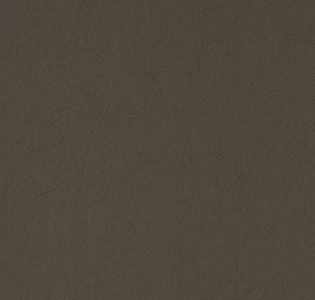 Bernardo Bartalucci Legend 5068-29 для спальни для гостиной для кабинета для загородного дома для комнаты для прихожей капучино