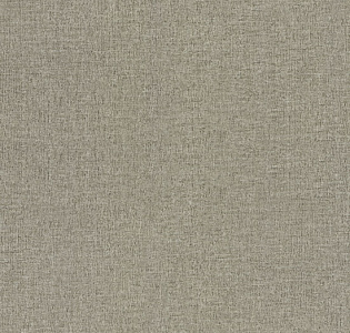 Decori&Decori Zen 72919 для кухни для спальни для гостиной для коридора для кабинета для загородного дома для комнаты для прихожей серый светло-серый