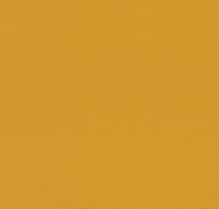 Rasch Allegretto 687552 для кухни для спальни для гостиной для коридора для кабинета для загородного дома для комнаты для прихожей горчичный