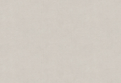 Обои виниловые на флизелиновой основе