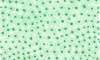C9702 RA
