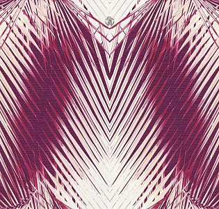 Emiliana Parati Roberto Cavalli Home 6 RC17006 для кухни для гостиной для кабинета для комнаты бордовый