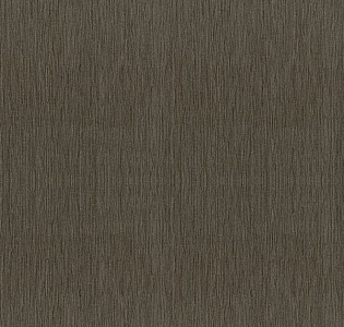 Aura Texture World H2990806 для кухни для спальни для гостиной для коридора для кабинета для загородного дома для комнаты для прихожей коричневый