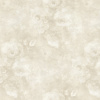 BM31041