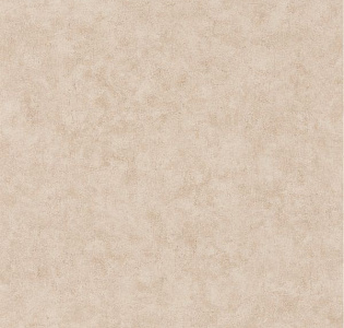 Caselio Beton BET101481156 для кухни для спальни для гостиной для коридора для кабинета для загородного дома для комнаты для прихожей коричневый кофейный капучино