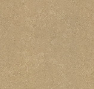 Rasch Metal Spirit 977165 для кухни для спальни для гостиной для коридора для кабинета для загородного дома для комнаты для прихожей золотой