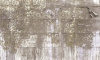C0103 RX