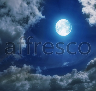 Affresco Фрески и фотообои ID13492