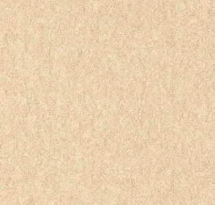 Aura Texture World H2991703 для кухни для спальни для гостиной для коридора для кабинета для загородного дома для комнаты для прихожей золотой