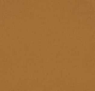 Rasch Salsa 531466 для кухни для спальни для гостиной для коридора для кабинета для загородного дома для комнаты для прихожей терракотовый