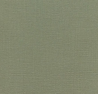 Alessandro Allori Bodega Grand R95011-29 для кухни для спальни для гостиной для коридора для кабинета для загородного дома для комнаты для прихожей зеленый мятный