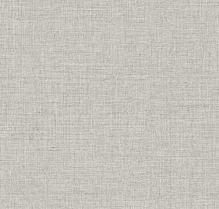 Alessandro Allori Giorgio RGI1004-3 для кухни для спальни для гостиной для коридора для кабинета для загородного дома для комнаты для прихожей серый светло-серый