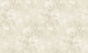 BM31041
