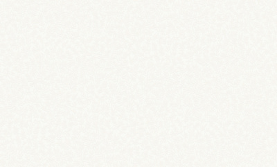 Обои виниловые на флизелиновой основе