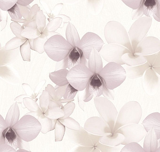 Decoprint Paradisio PA16830 для спальни для гостиной для загородного дома для комнаты бежевый