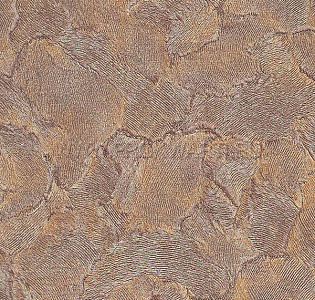 Emiliana Parati Roberto Cavalli Home 3 14098 для кухни для гостиной для кабинета для комнаты коричневый