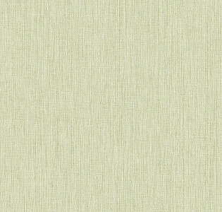 Alessandro Allori Giorgio RGI1002-10 для кухни для спальни для гостиной для коридора для кабинета для загородного дома для комнаты для прихожей зеленый фисташковый