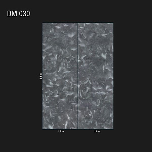DM 030