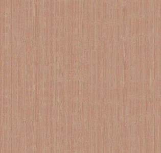 JWall Paraiso 50319 для кухни для спальни для гостиной для коридора для кабинета для загородного дома для комнаты для прихожей терракотовый