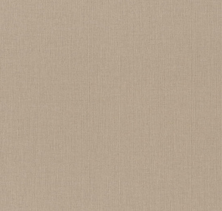 Rasch Poetry 2 960709 для кухни для спальни для гостиной для коридора для кабинета для загородного дома для комнаты для прихожей капучино