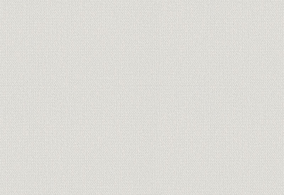 Обои виниловые на флизелиновой основе