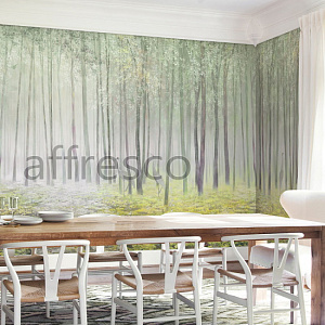 Affresco Exclusive AB313-COL4 для спальни для гостиной для загородного дома для комнаты серый зеленый салатовый