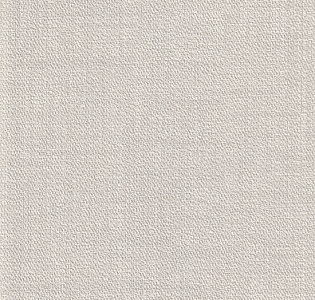 Som Project 32217-11 для кухни для спальни для гостиной для коридора для кабинета для загородного дома для комнаты для прихожей серый светло-серый