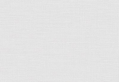 Обои виниловые на флизелиновой основе