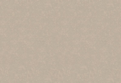 Обои виниловые на флизелиновой основе