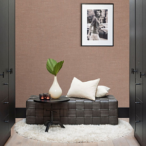 Aura Vogue 221164 для кухни для спальни для гостиной для коридора для кабинета для загородного дома для комнаты для прихожей терракотовый