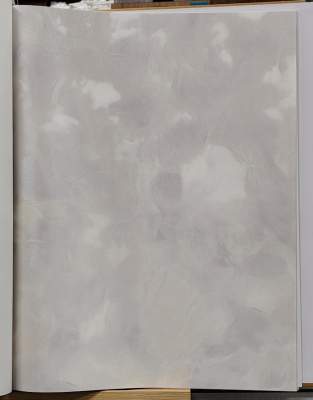 Обои виниловые на флизелиновой основе