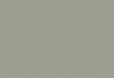 Обои виниловые на флизелиновой основе