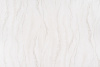 AR10838-07