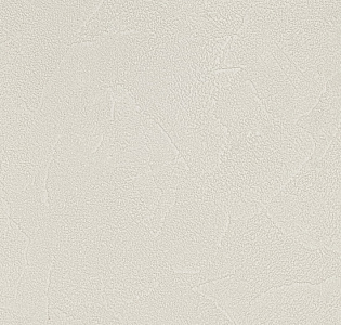 Andrea Rossi Spectrum Plus 54351-17 для кухни для коридора для кабинета для загородного дома для комнаты для прихожей светло-серый