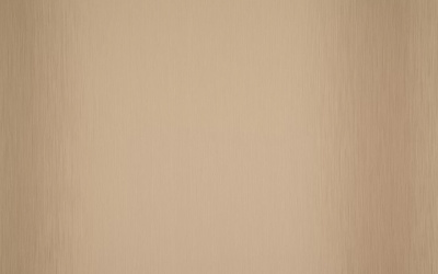 Обои виниловые на флизелиновой основе