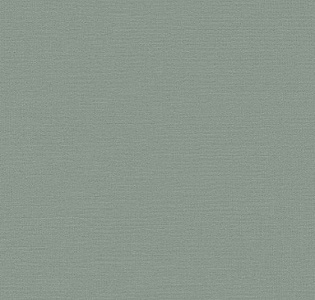 BN International Atelier BN 219510 для кухни для спальни для гостиной для коридора для кабинета для загородного дома для комнаты для прихожей зеленый