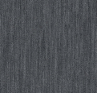 Erismann Elle 2 Plus ER12089-15 для кухни для спальни для гостиной для коридора для кабинета для загородного дома для комнаты для прихожей темно-серый