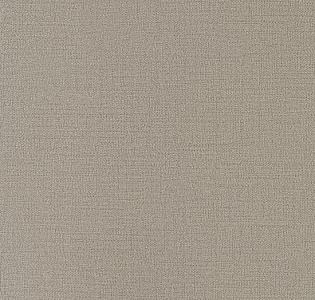 Andrea Rossi Spectrum Plus 54353-25 для кухни для спальни для гостиной для коридора для кабинета для загородного дома для комнаты для прихожей серый