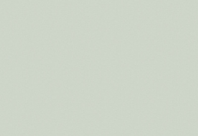 Обои виниловые на флизелиновой основе