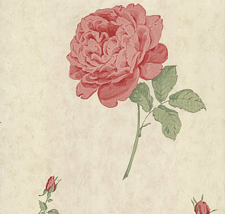 Paper Partnership Elizabeth Ockford Birchgrove Gardens EO00141 для спальни для гостиной для загородного дома для комнаты бежевый