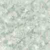 AF2080-COL6