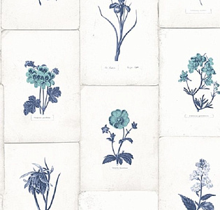 Paper Partnership University of Oxford Archives II WP0090901 для спальни для гостиной для загородного дома для комнаты белый