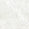 HK67851