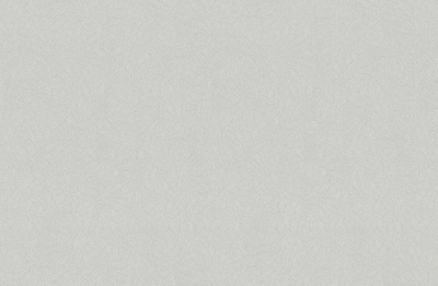 Обои виниловые на флизелиновой основе