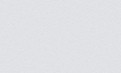 Обои виниловые на флизелиновой основе