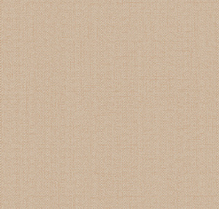 RBN1002-10 Alessandro Allori Bruni RBN1002-10 для кухни для спальни для гостиной для коридора для кабинета для загородного дома для комнаты для прихожей бежевый коричневый