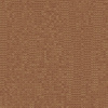 Z54526