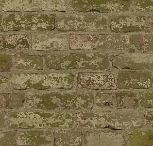 York Urban Chic RK4435 для кабинета для загородного дома для комнаты для прихожей зеленый