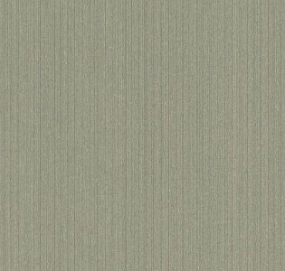 Rasch Textil Letizia 087023 для спальни для гостиной для кабинета для загородного дома для комнаты для прихожей зеленый оливковый